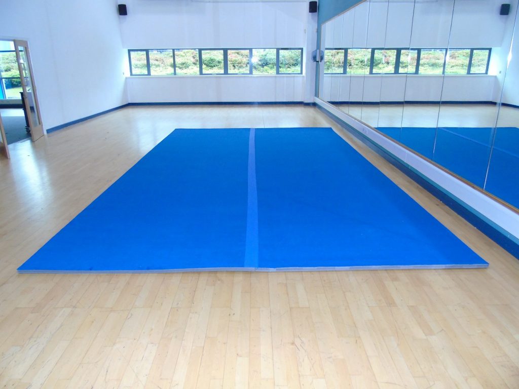 Gym floor mats