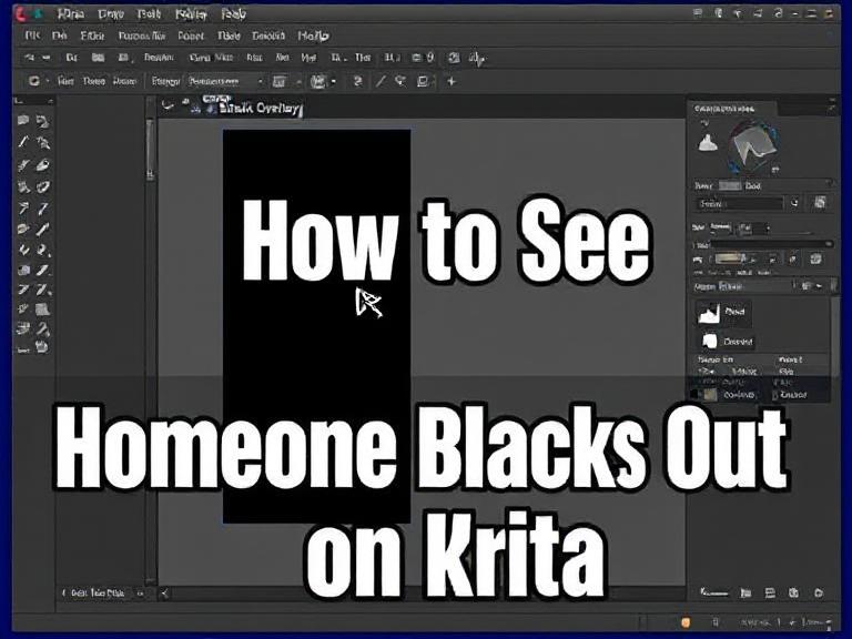 How to See Images Someone Blacks Out on Krita