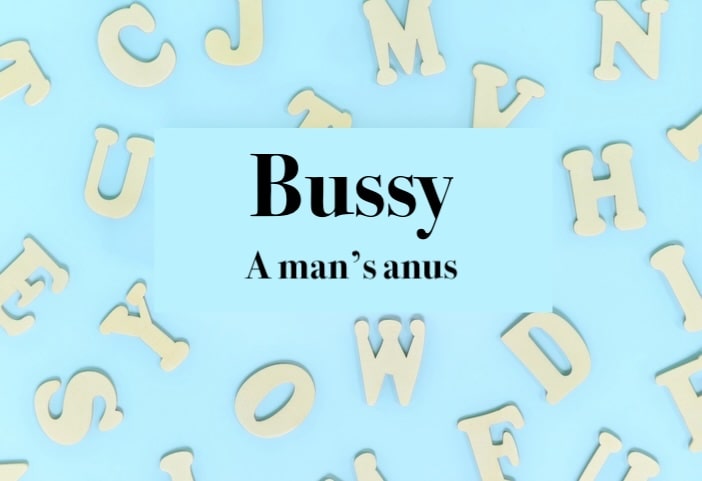 what does bussy mean in slang